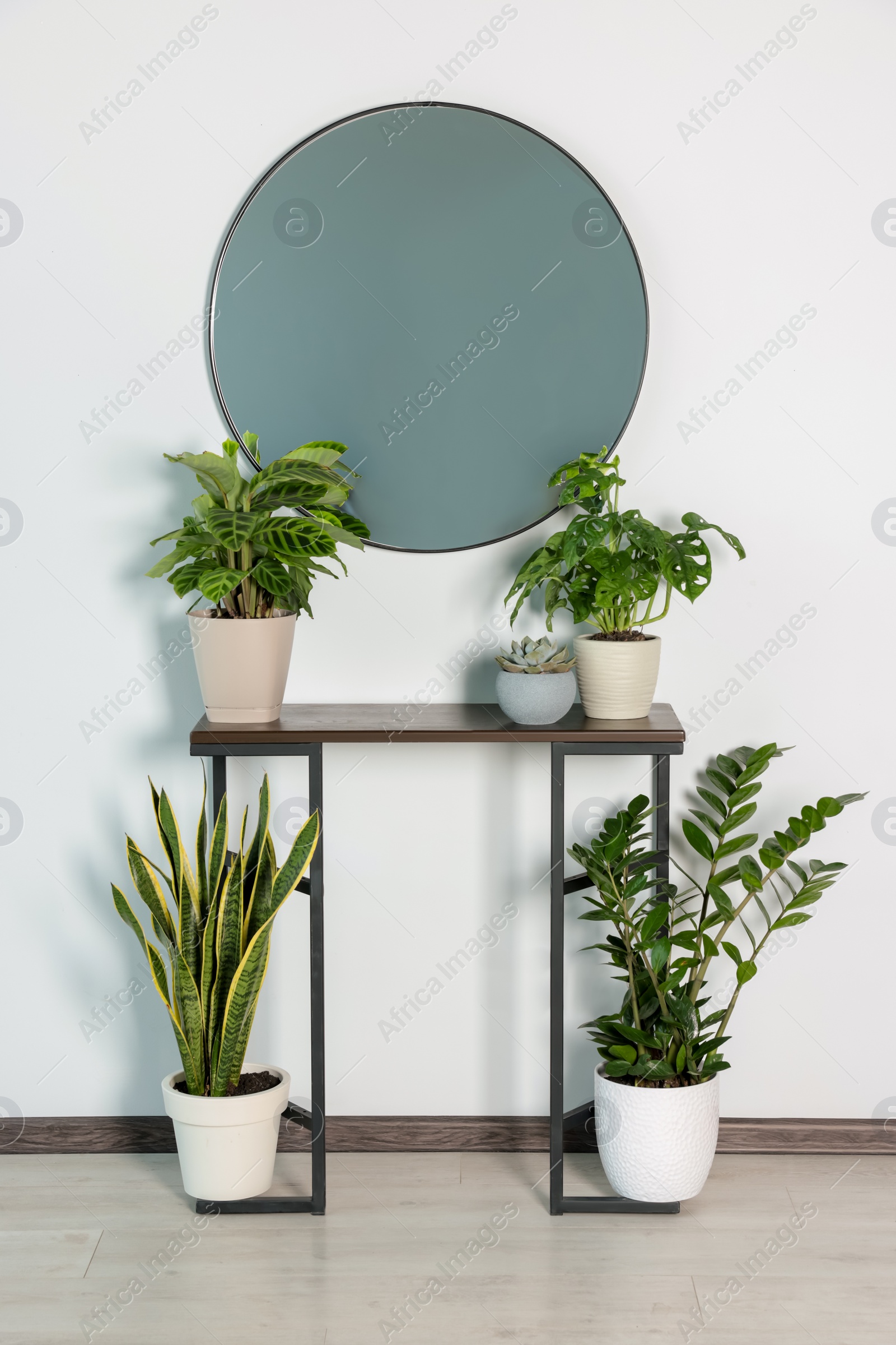 Photo of Stylish round mirror on white wall over table with houseplants in room