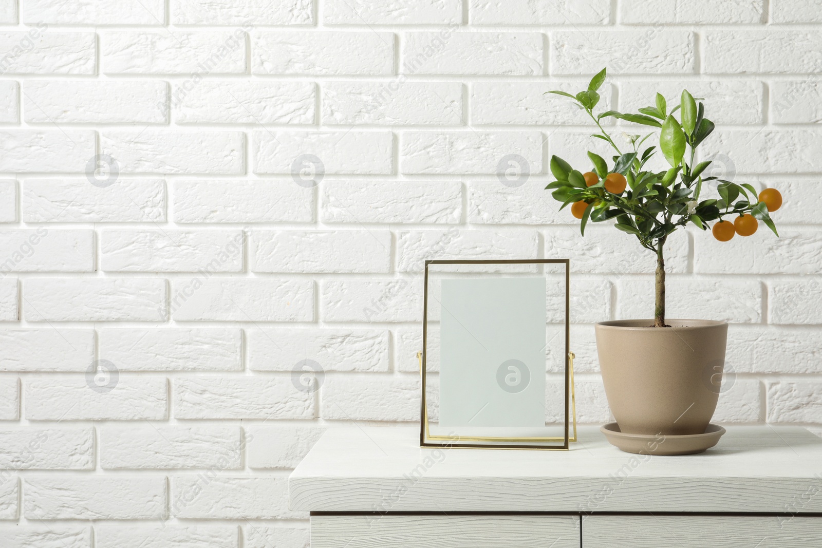 Photo of Potted citrus tree and empty frame on cabinet against brick wall. Space for text