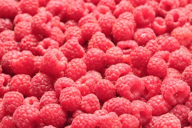 Photo of Ripe aromatic raspberries as background