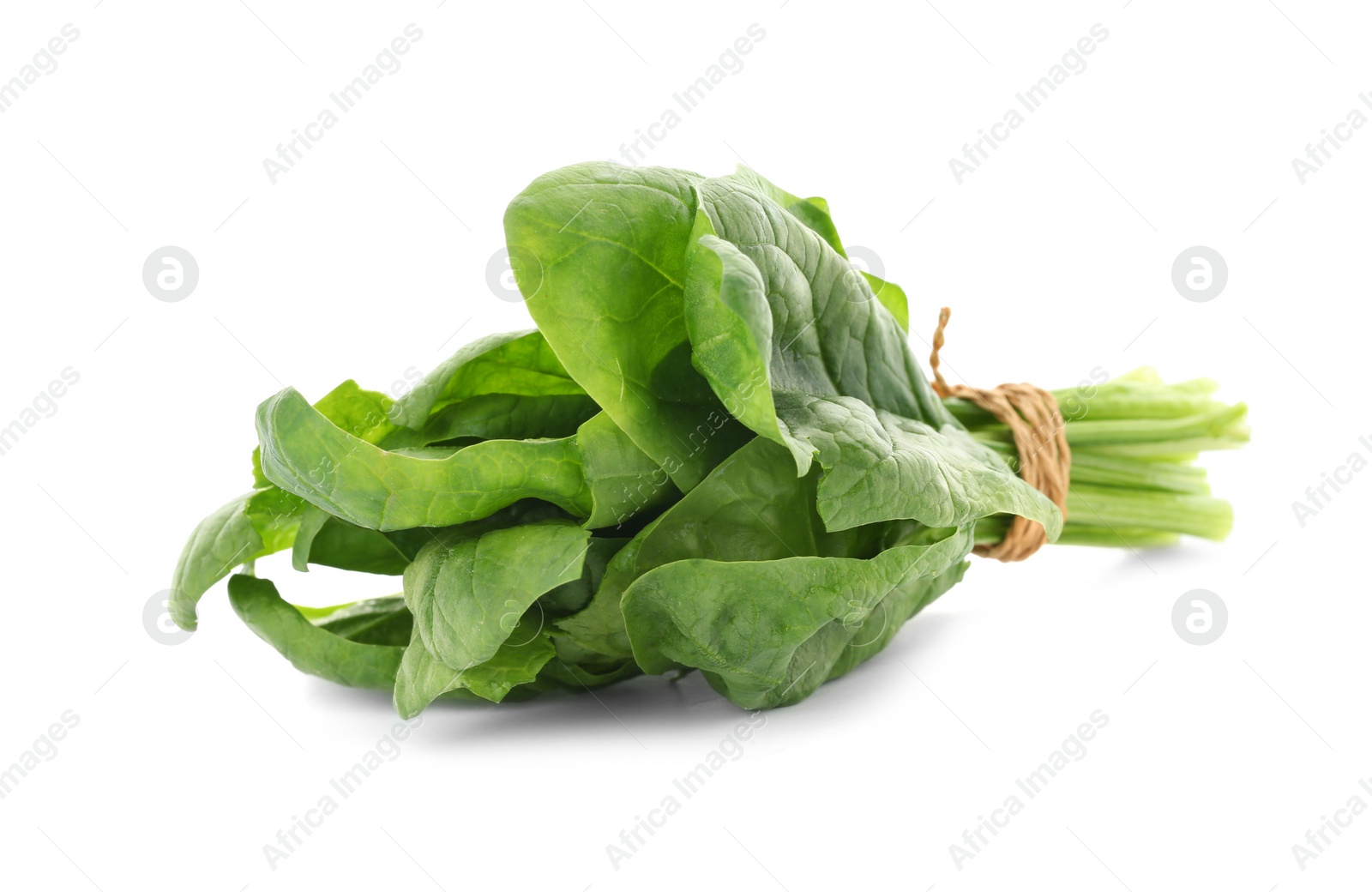 Photo of Bundle of fresh spinach isolated on white