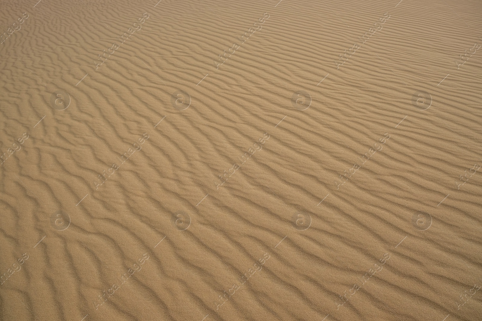 Photo of Beautiful view of rippled sandy surface in desert as background