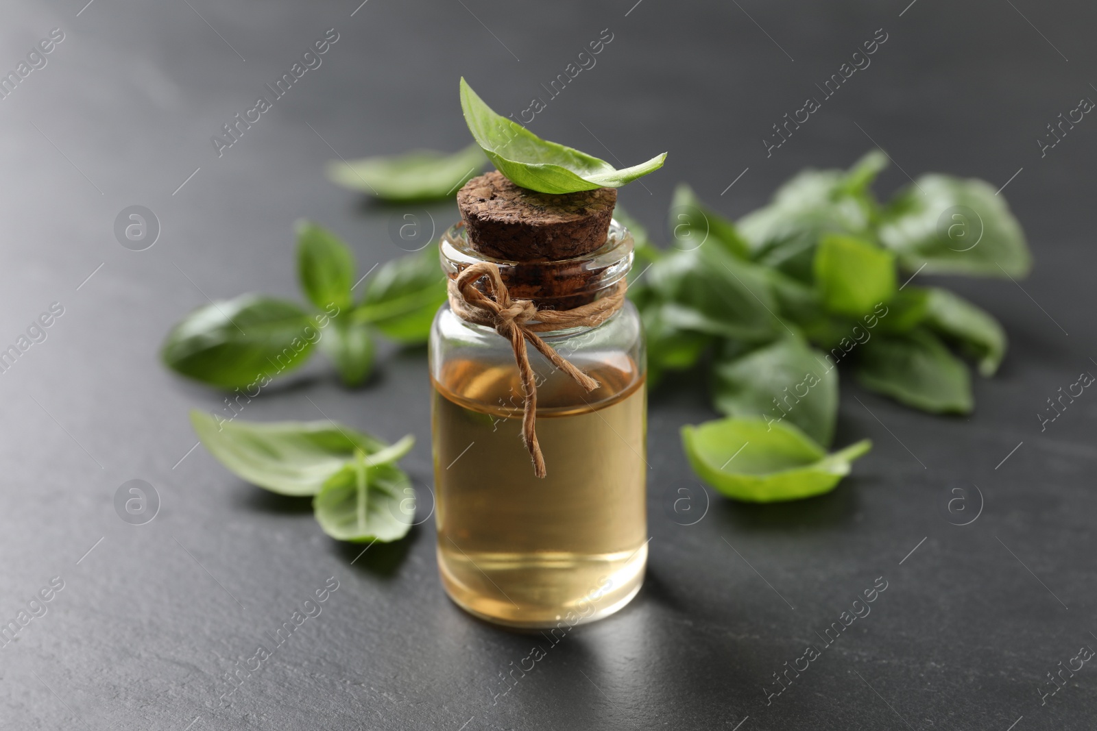 Photo of Bottle of essential basil oil and fresh leaves on dark grey table