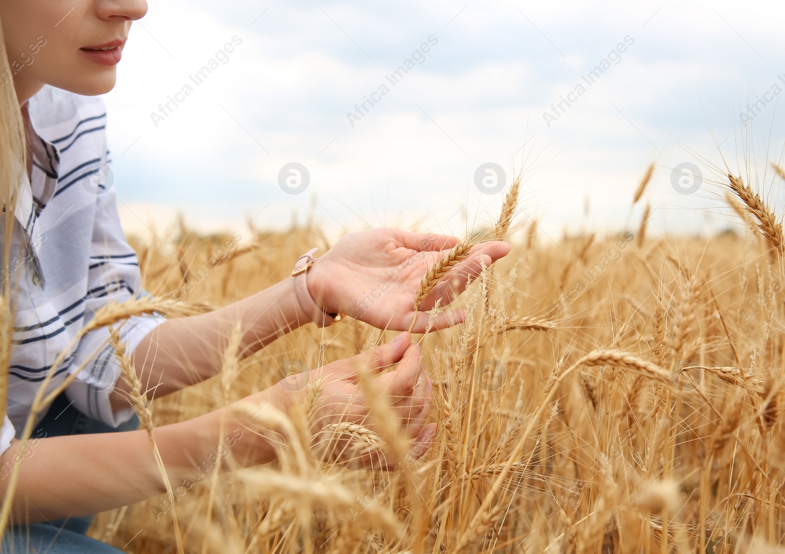 Photo of Young agronomist in grain field. Cereal farming