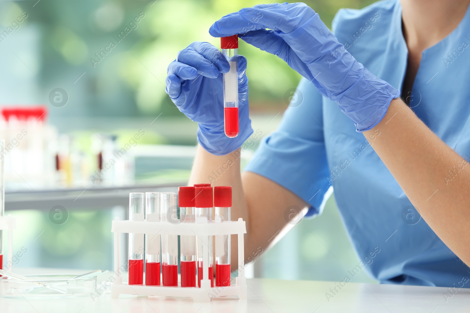 Photo of Scientist holding test tube with blood sample at table in laboratory