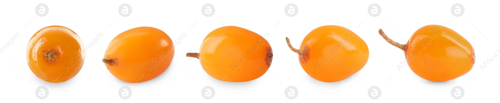 Image of Set with fresh ripe sea buckthorn berries on white background. Banner design