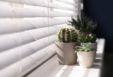 Beautiful different cacti in pots on windowsill indoors. Space for text