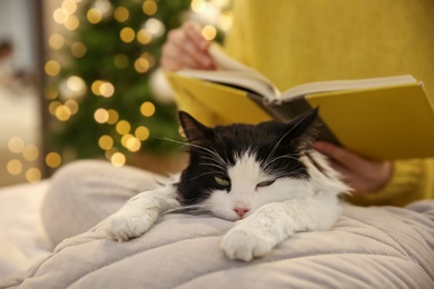 Photo of Woman with cute cat reading book in room, closeup