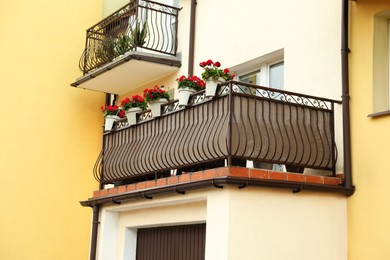 Photo of Stylish balcony decorated with beautiful potted flowers