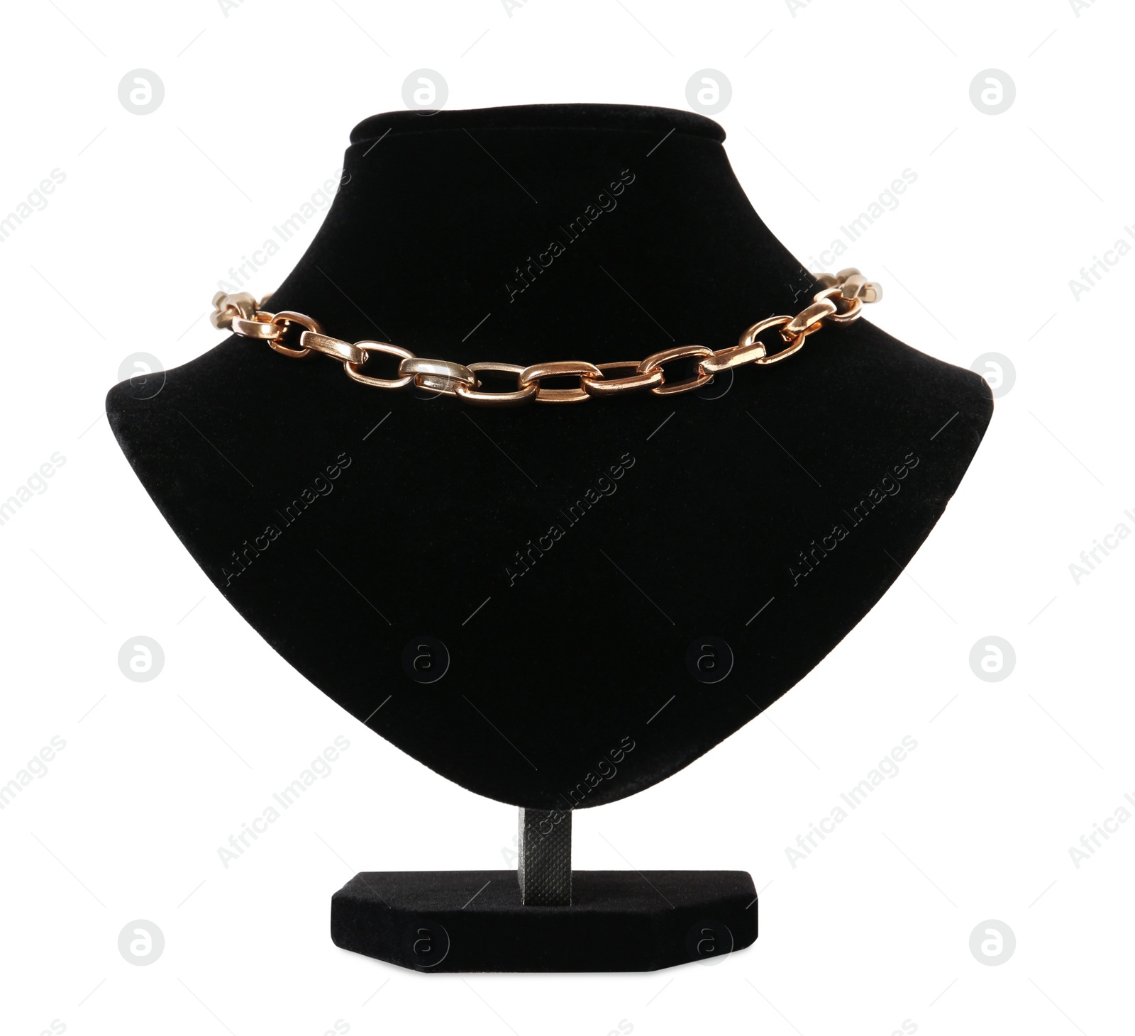 Photo of Stylish golden necklace on jewelry bust against white background