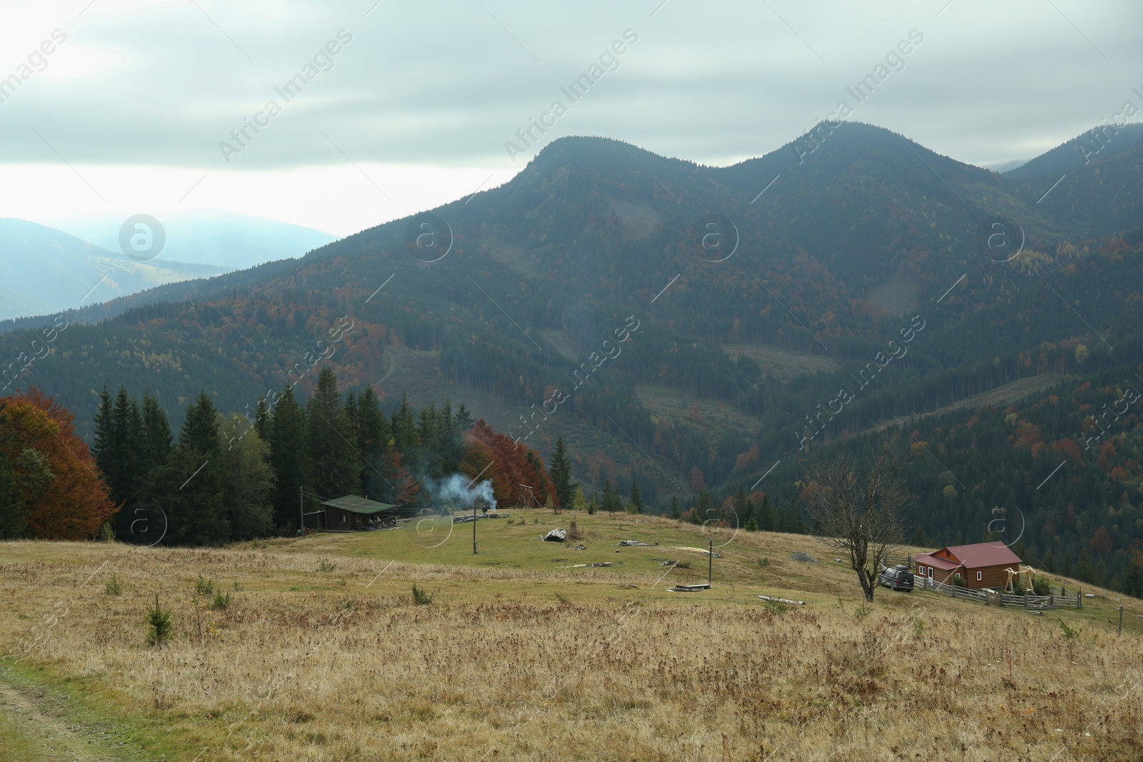 Photo of Beautiful view of farm near mountain forest in autumn