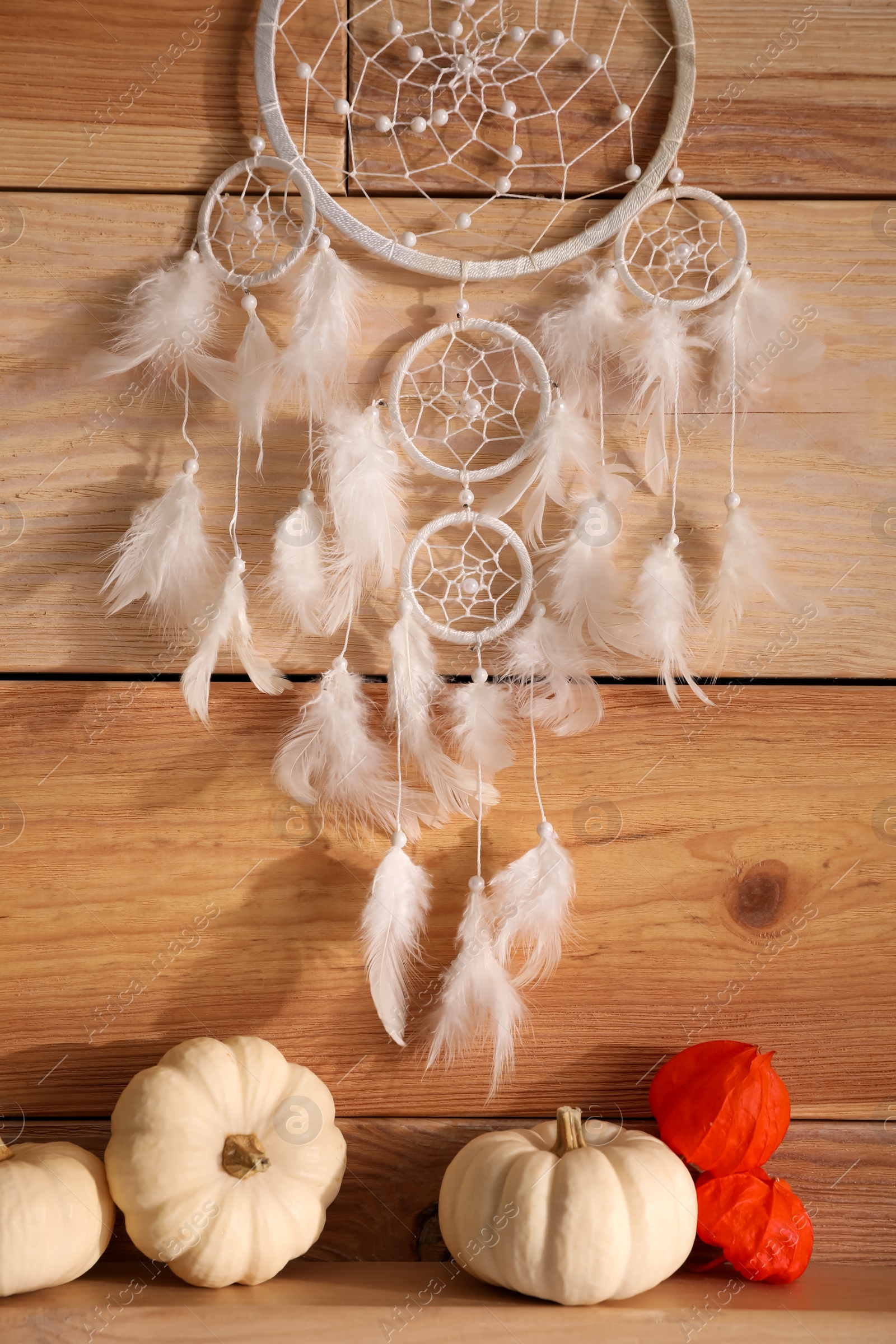 Photo of Beautiful dream catcher, white pumpkins and calyces of physalis near wooden wall