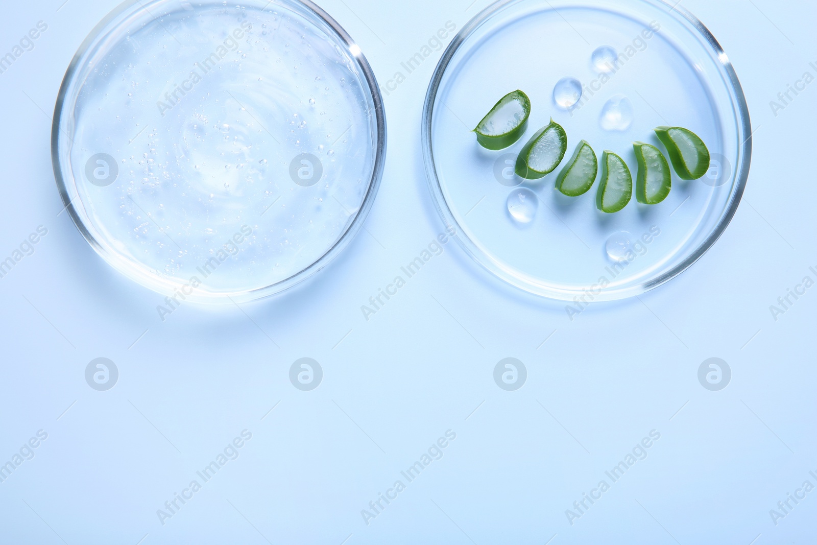 Photo of Cut aloe vera and cosmetic gel on light blue background, top view. Space for text