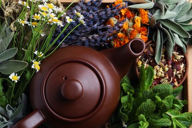 Photo of Teapot surrounded by different herbs on wooden tray, top view