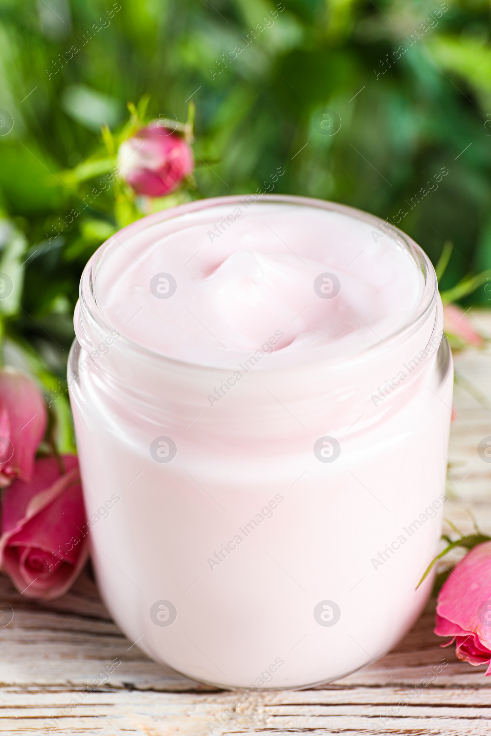Photo of Jar of hand cream and roses on white wooden table, closeup