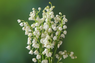 Photo of Beautiful lily of the valley flowers on blurred green background, closeup