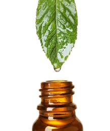 Photo of Mint leaf with drop of essential oil over bottle against white background