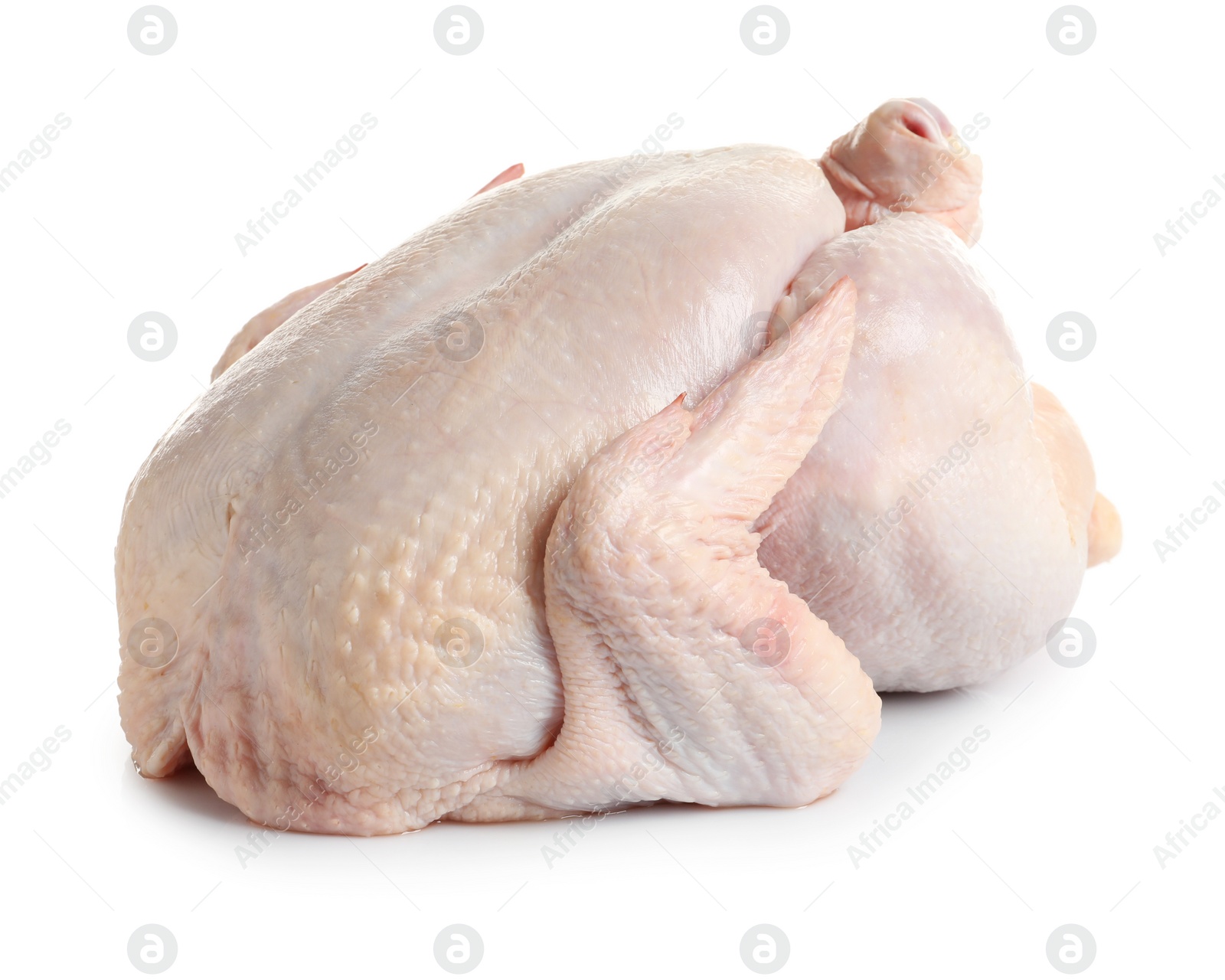 Photo of Fresh raw whole turkey on white background