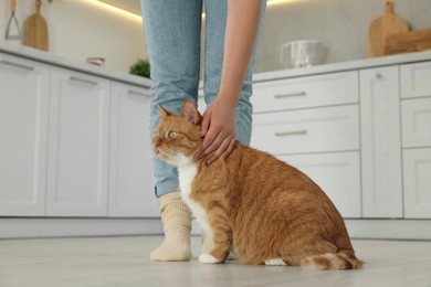 Woman petting cute cat in kitchen at home, closeup