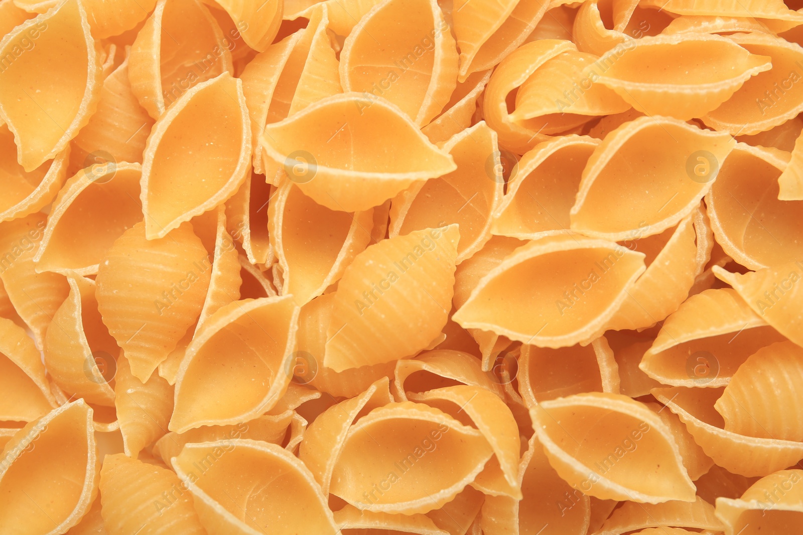 Photo of Raw conchiglie pasta as background, top view