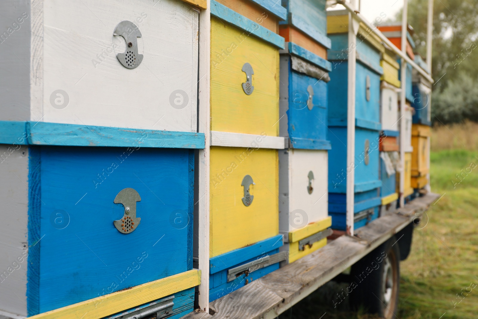 Photo of Many colorful bee hives at apiary outdoors, closeup