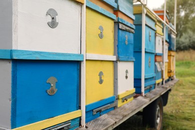 Photo of Many colorful bee hives at apiary outdoors, closeup