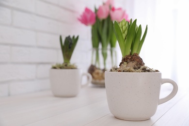 Photo of Potted hyacinth flowers and tulips with bulbs on white wooden table. Space for text