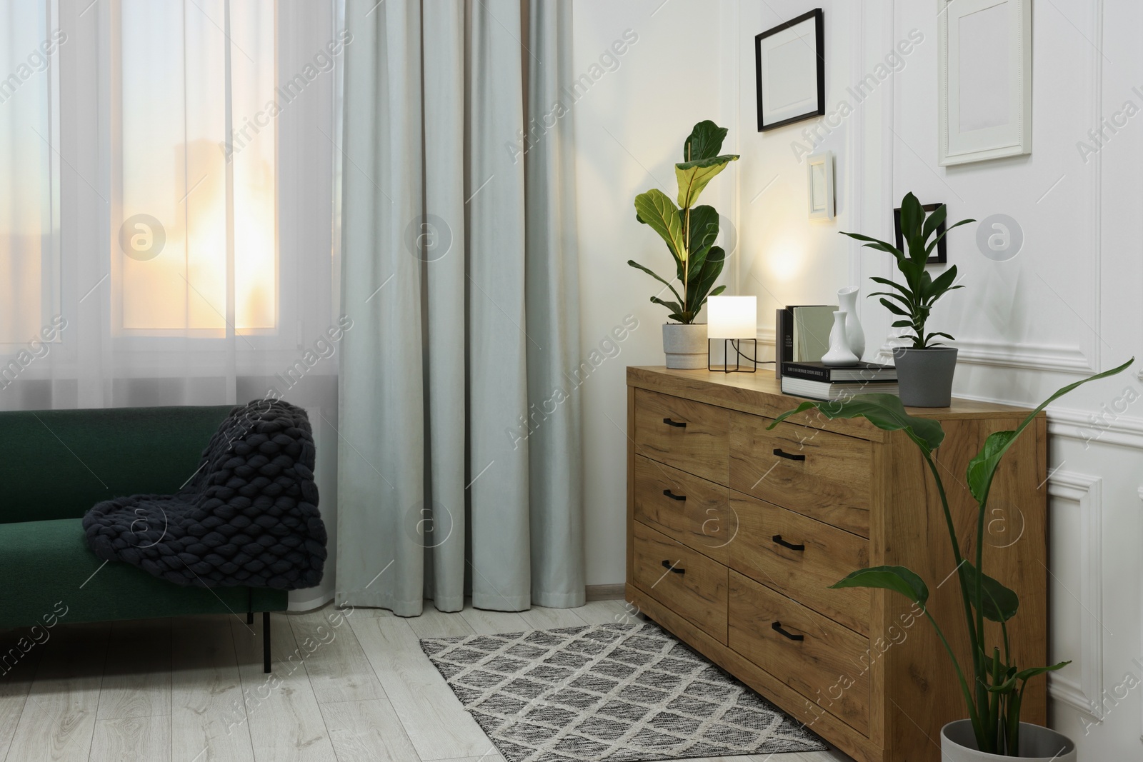 Photo of Stylish room interior with chest of drawers, sofa, decor elements and houseplants