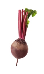 Photo of Whole fresh red beet isolated on white