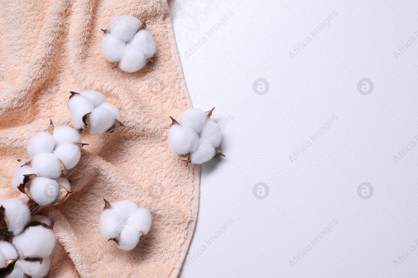 Photo of Cotton branch with fluffy flowers and beige terry towel on white background, top view. Space for text