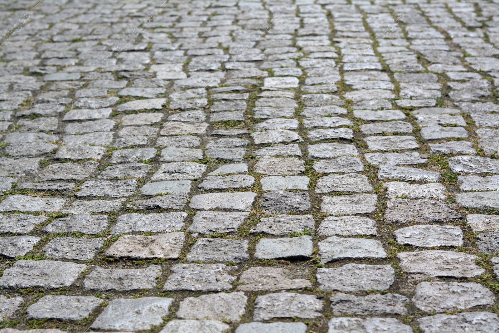 Photo of Old stone pathway with grass as background