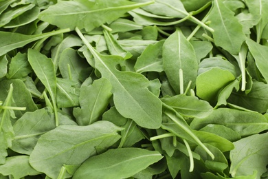 Many fresh arugula leaves as background, closeup