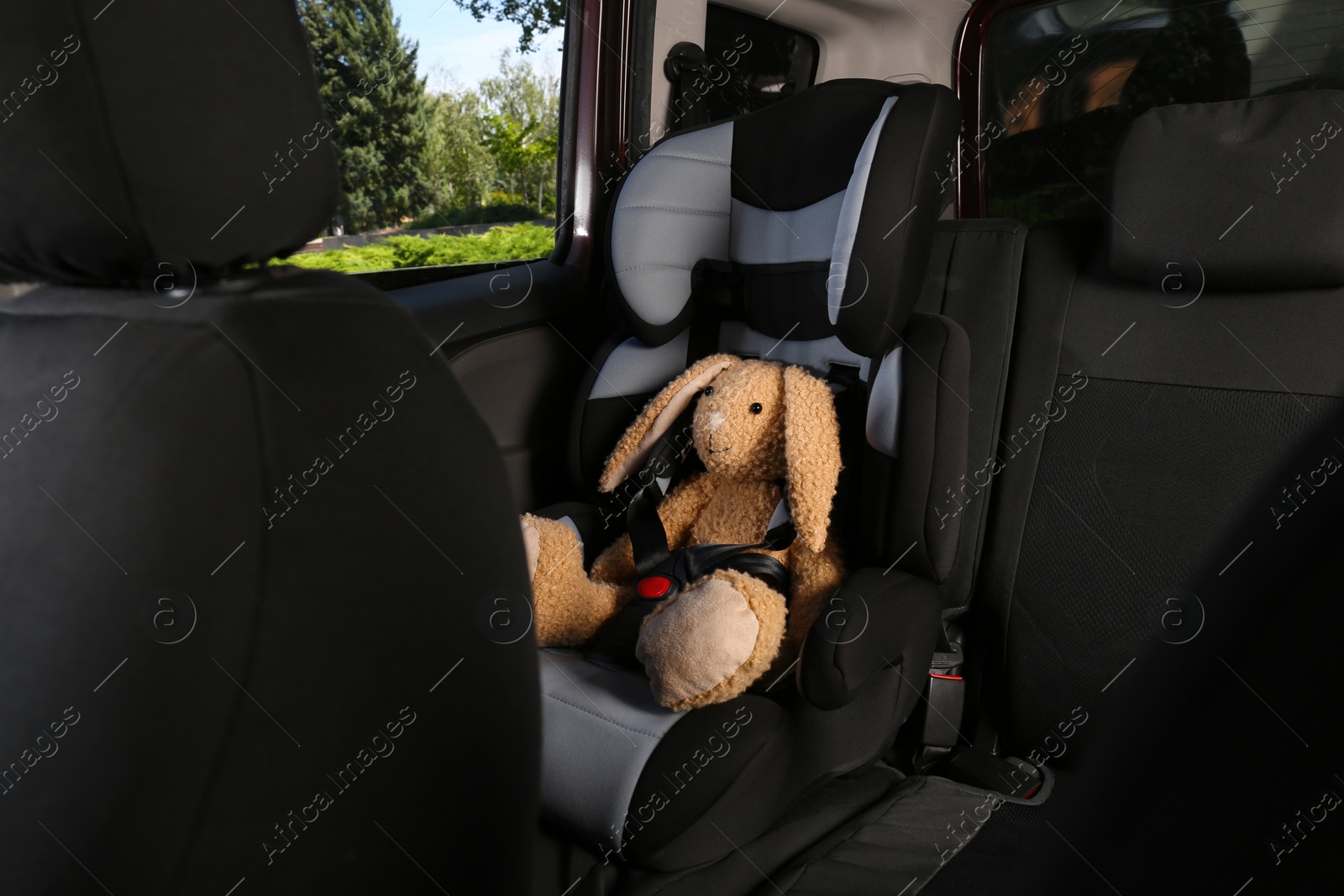 Photo of Toy bunny in child safety seat inside car