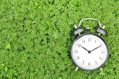 Alarm clock on green plants, outdoors. Time change concept