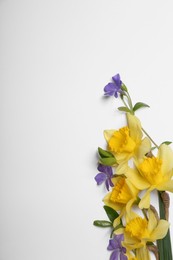 Photo of Beautiful yellow daffodils and periwinkle flowers on white background, top view. Space for text