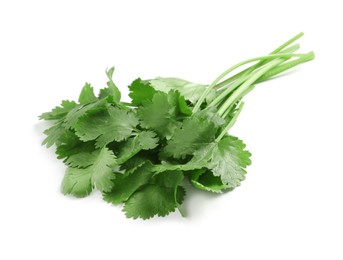 Photo of Bunch of fresh coriander on white background