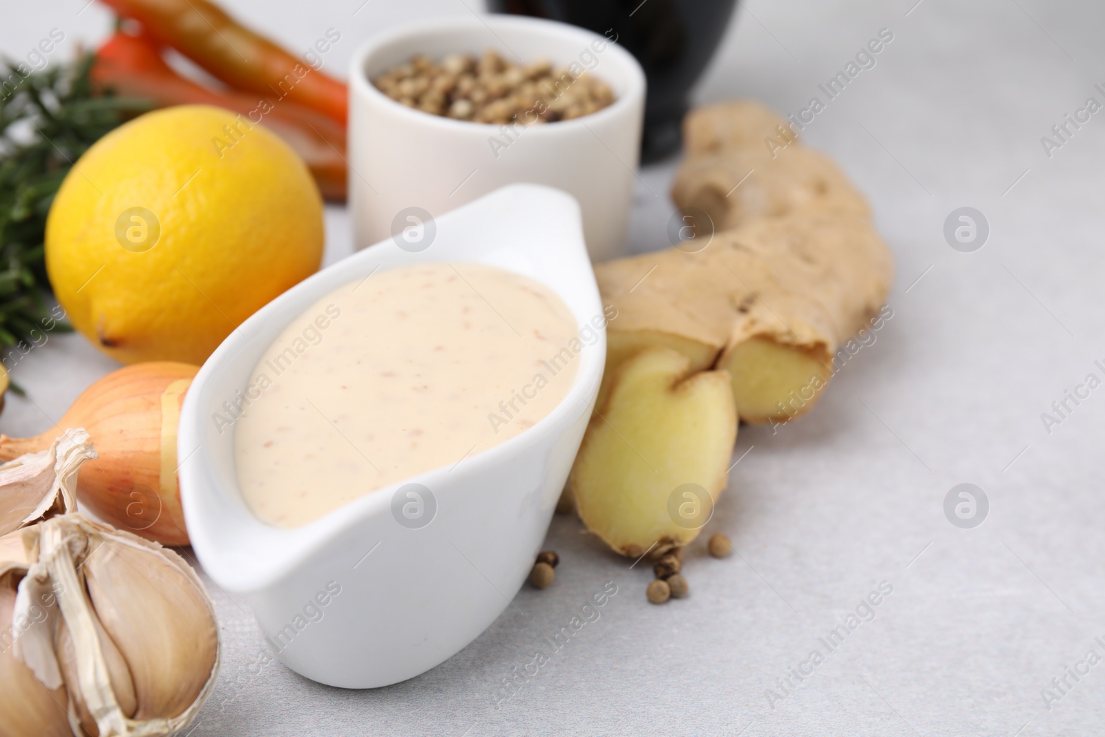 Photo of Fresh marinade and different ingredients on light grey table, closeup. Space for text