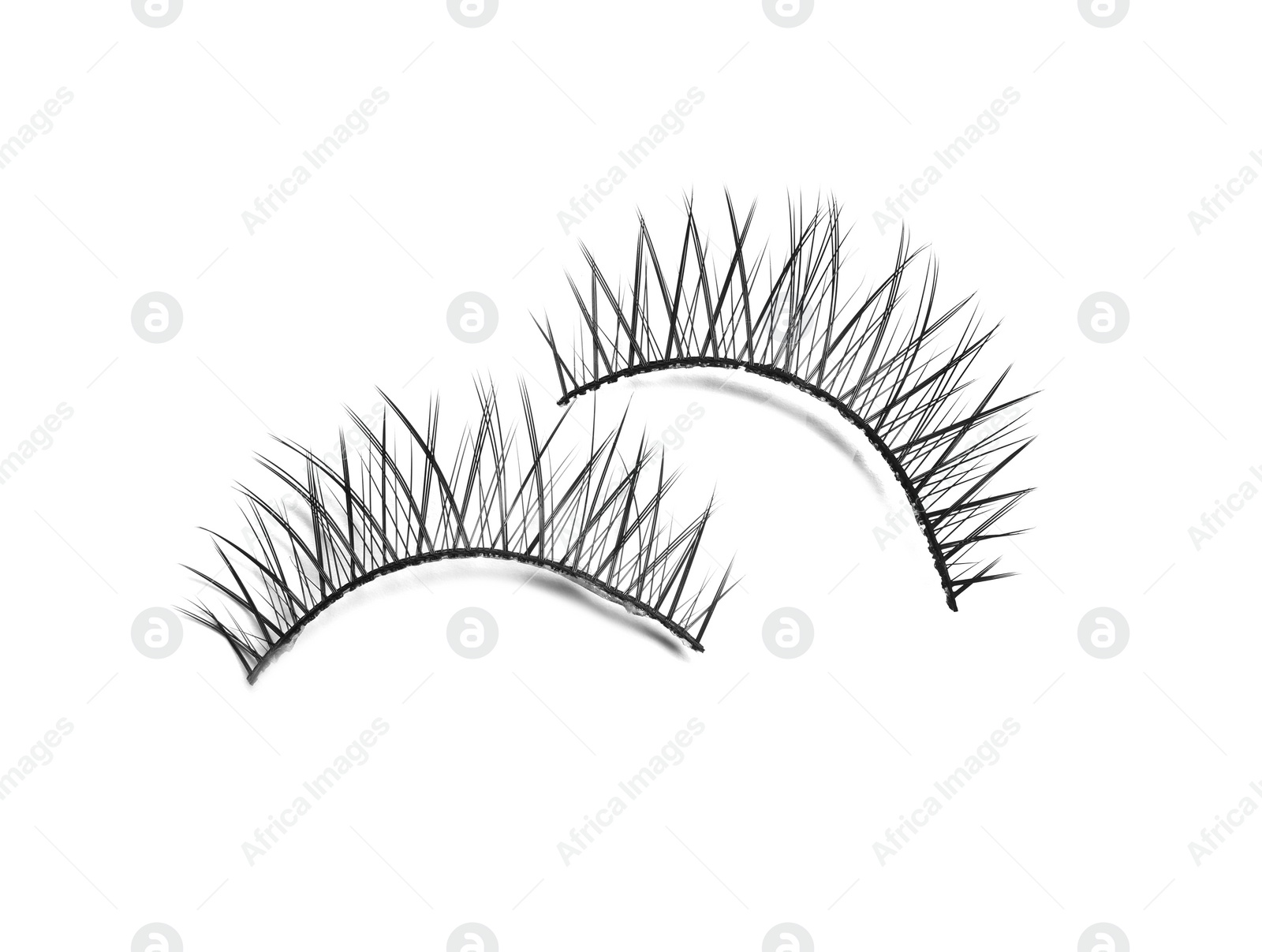 Photo of Beautiful pair of false eyelashes on white background