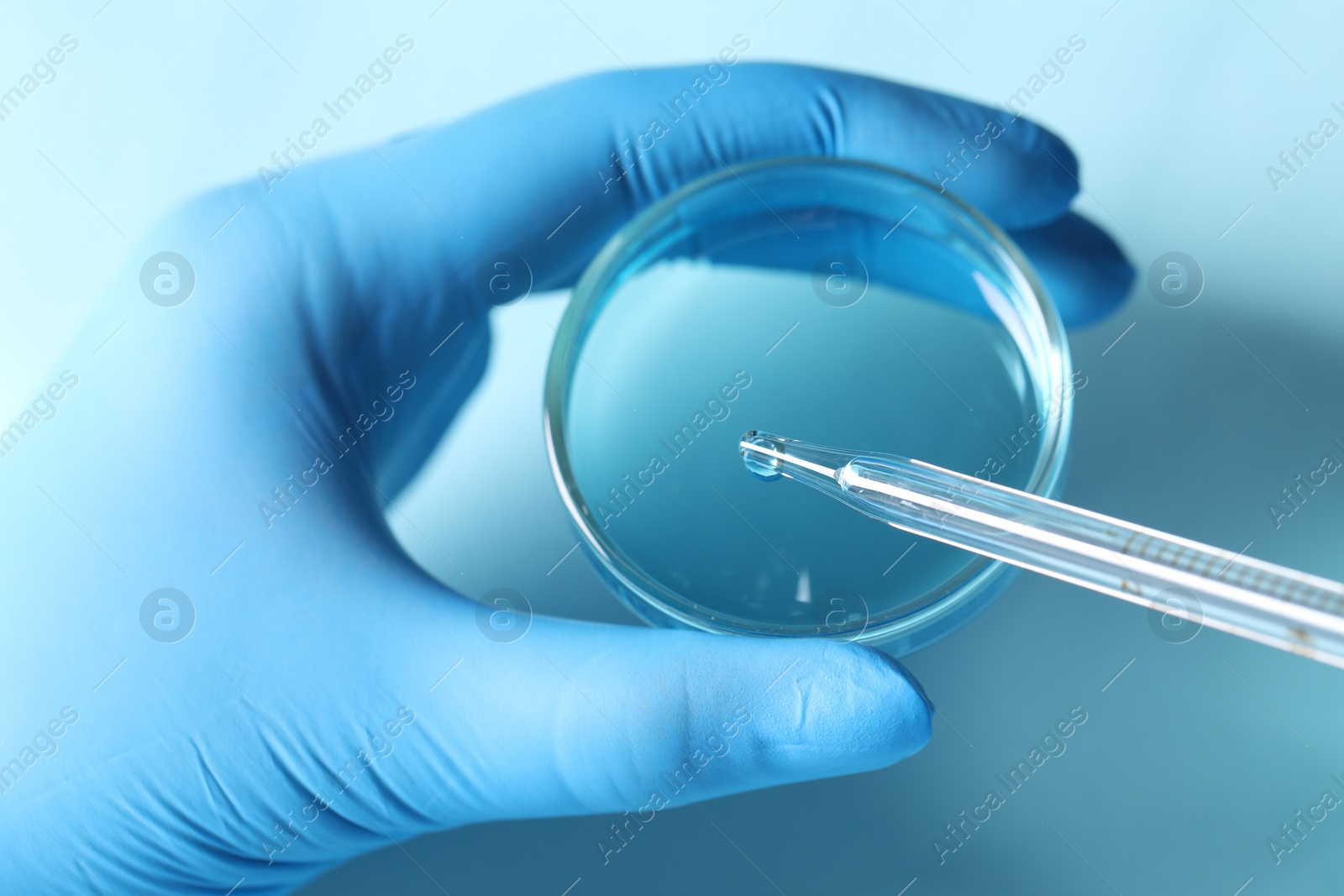 Photo of Doctor dripping liquid from pipette into petri dish at light blue table, closeup. Laboratory analysis