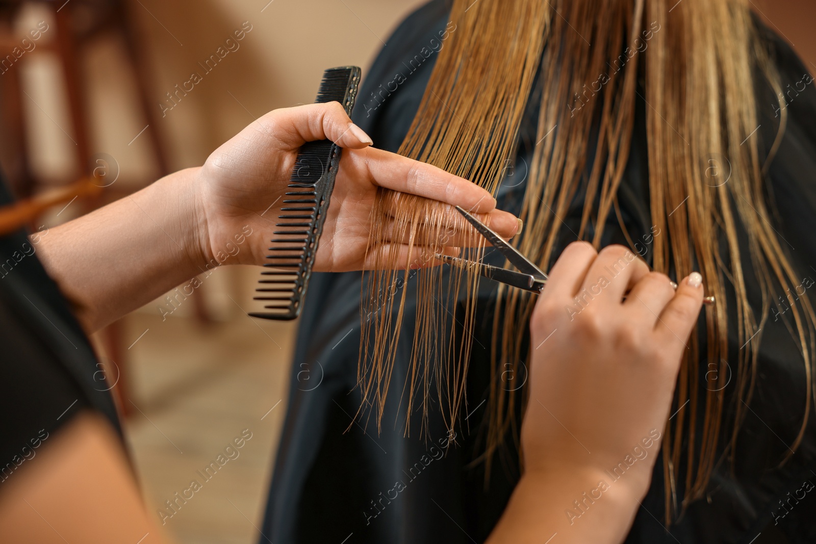 Photo of Professional hairdresser cutting girl's hair in beauty salon, closeup