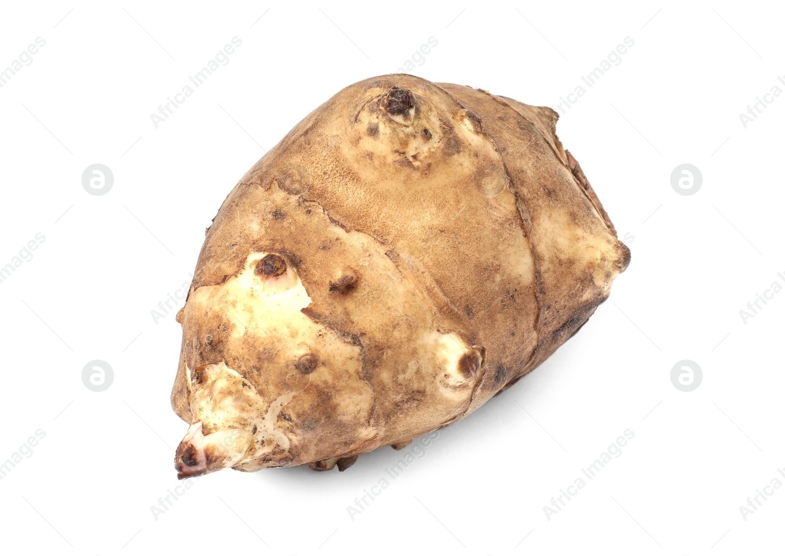 Photo of One raw Jerusalem artichoke isolated on white