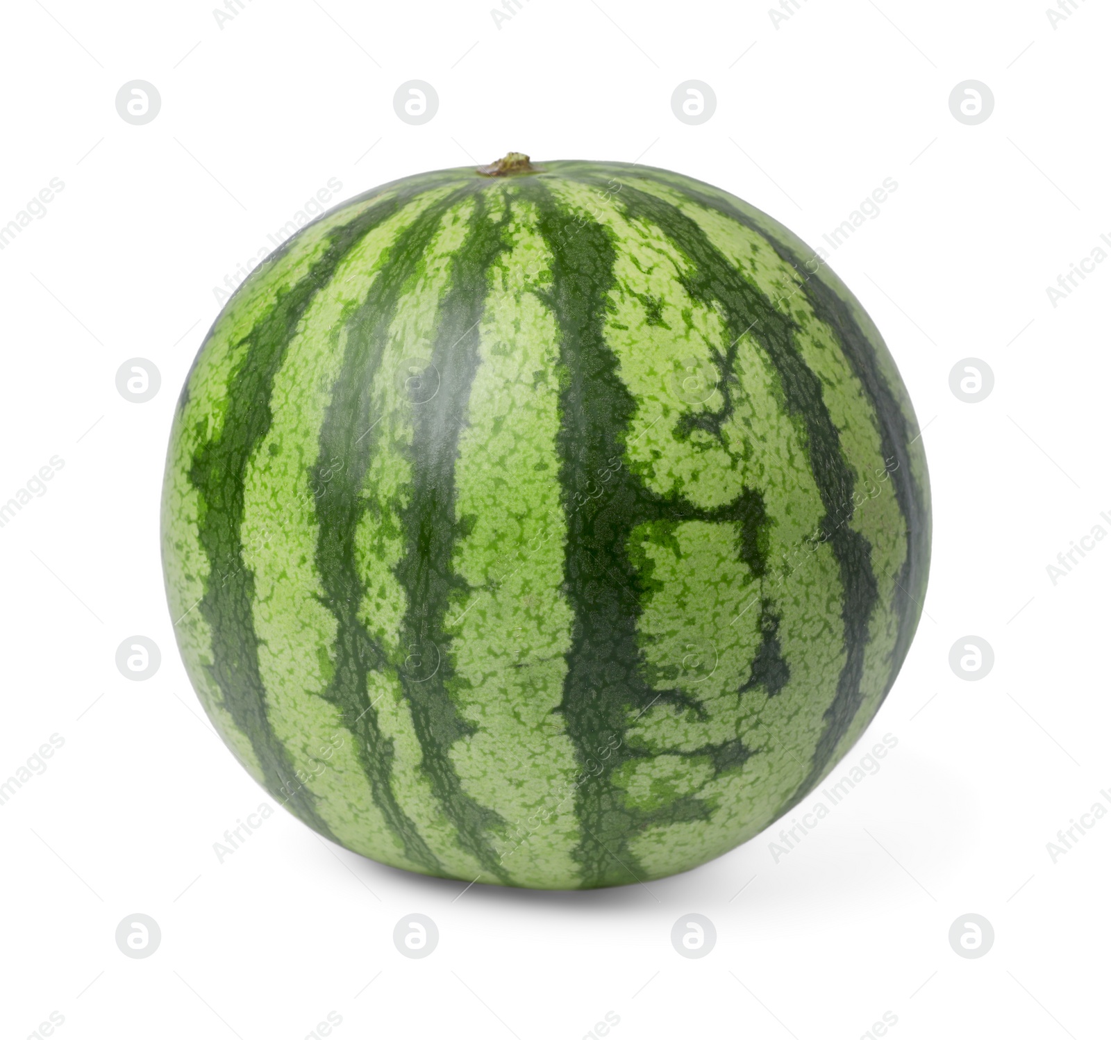 Photo of One whole ripe watermelon isolated on white