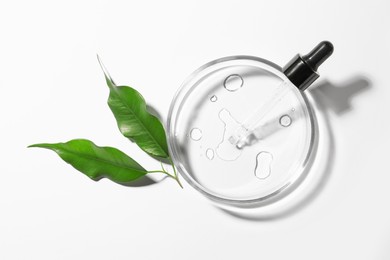 Petri dish with pipette and leaves on white background, top view