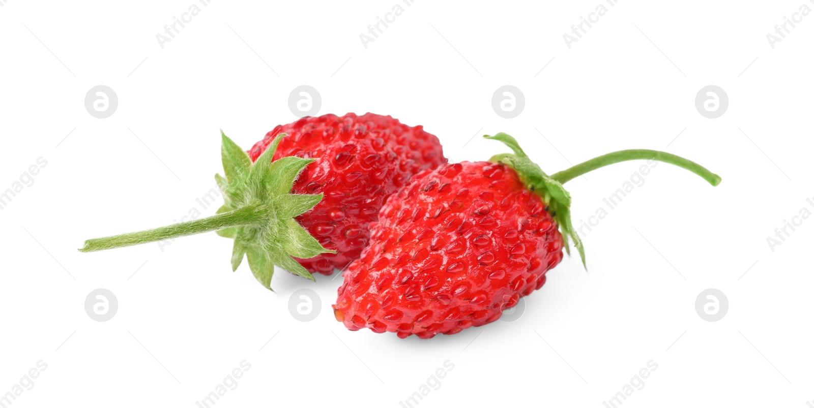 Image of Fresh ripe wild strawberries isolated on white