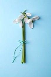 Beautiful snowdrops on light blue background, top view