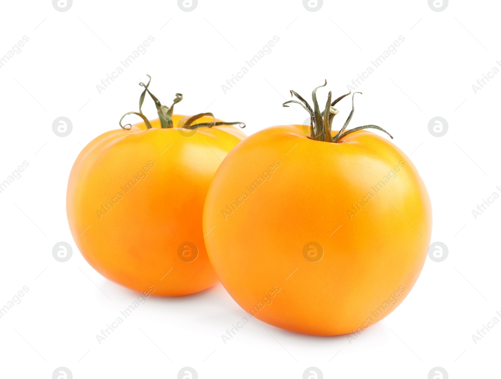 Photo of Fresh ripe yellow tomatoes on white background