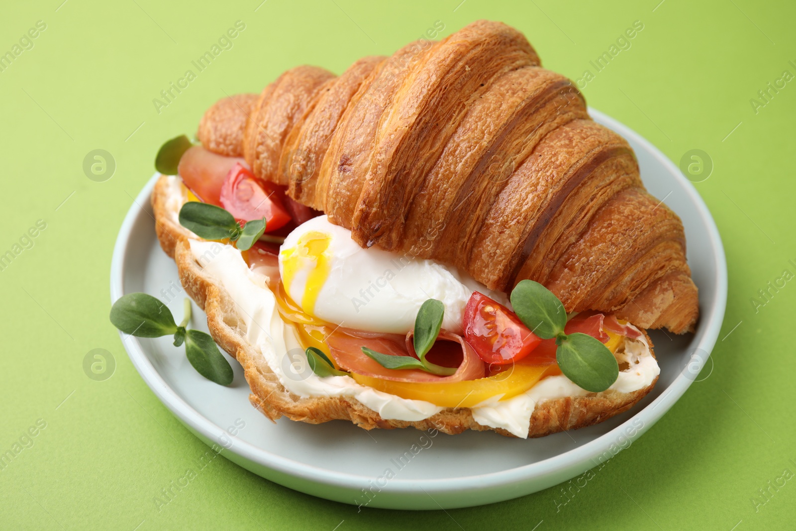 Photo of Tasty croissant with fried egg, tomato and microgreens on green background, closeup