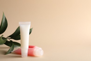 Photo of Different lip balms and branch on beige background, space for text