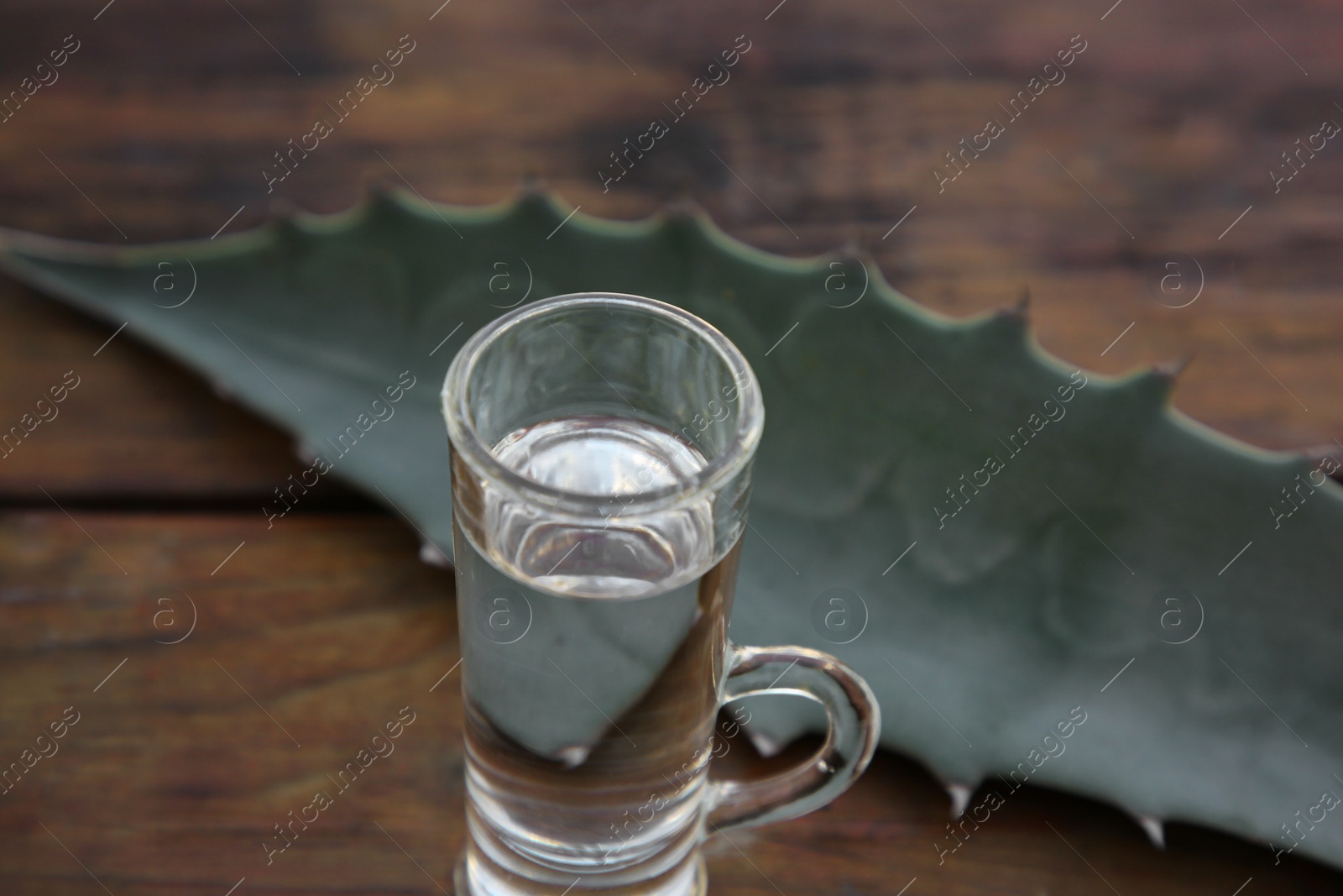 Photo of Mexican tequila shot and green leaf on wooden table, closeup. Drink made of agava