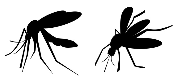 Image of Black mosquitoes on white background, banner design. Illustration