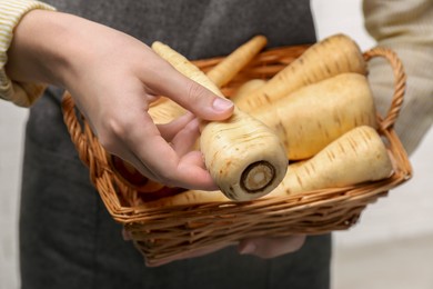 Woman with fresh ripe parsnips , closeup view